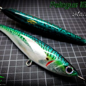 Jack Fin Pelagus 165 s