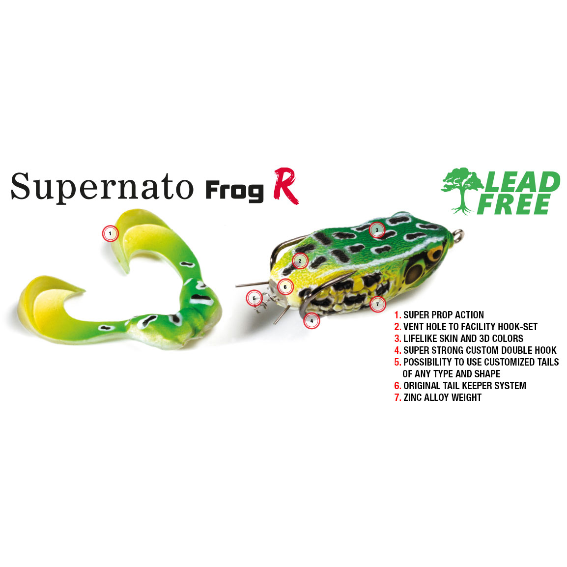 Molix Supernato Frog R