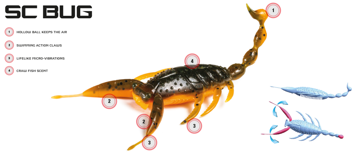 Molix SC bug softbait 4"