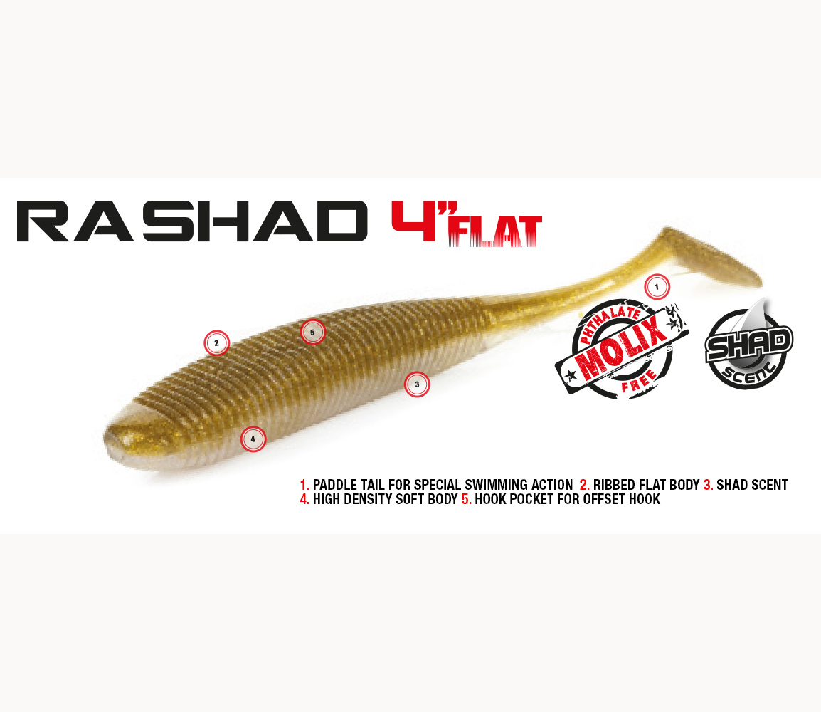 Molix RA shad 4" flat