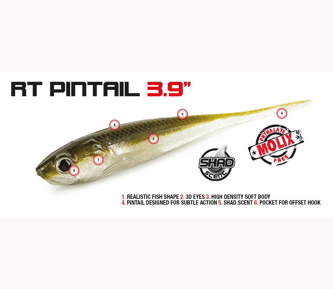 Molix RT Pintail 3,9"