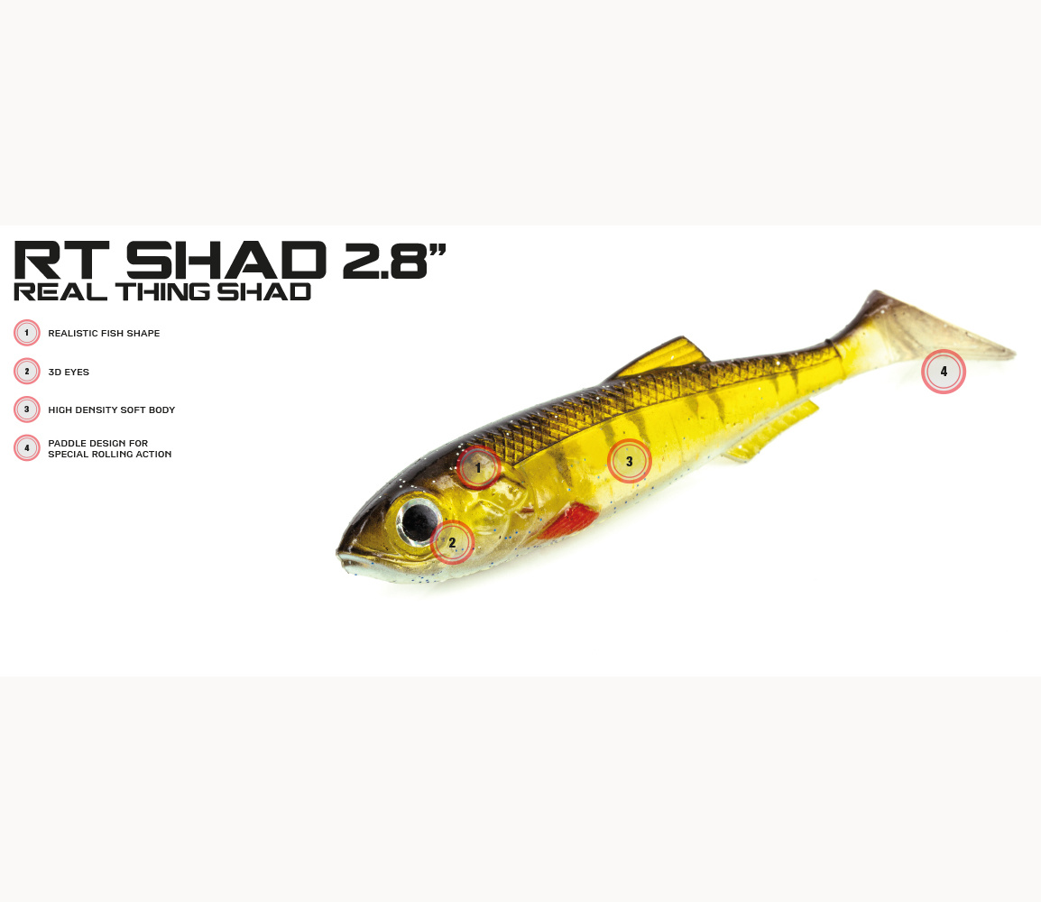 Molix Rt Shad 2,8"